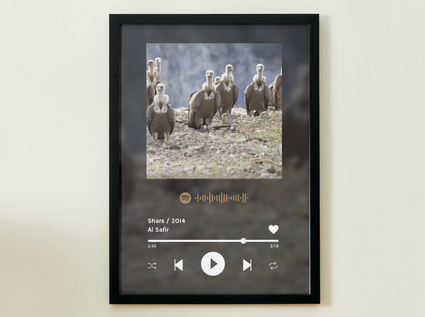 SHARS / 2014 Album Gallery Store