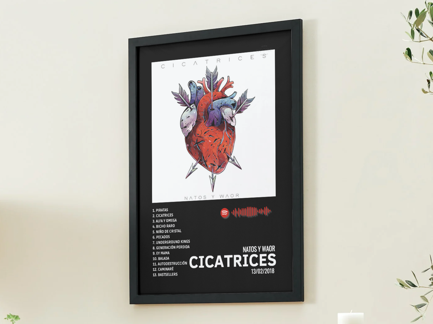 CICATRICES