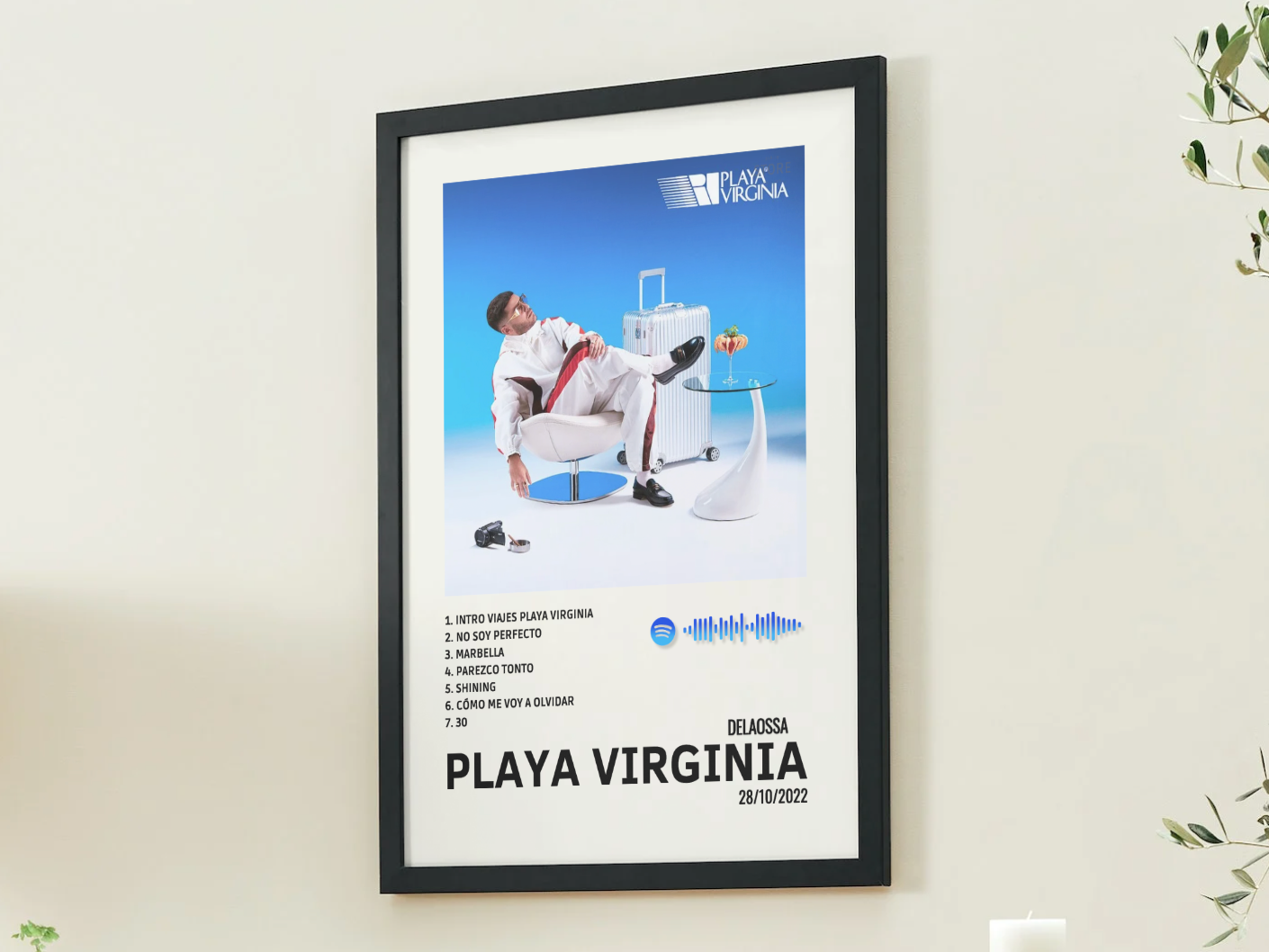 PLAYA VIRGINIA