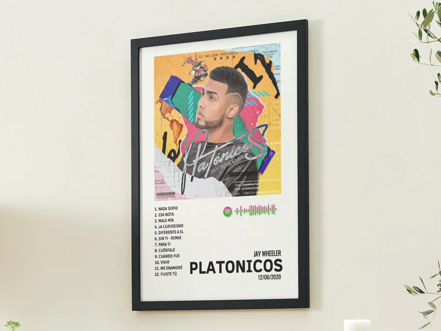 PLATONICOS