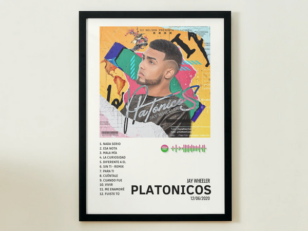 PLATONICOS