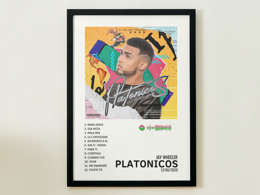 PLATONICOS