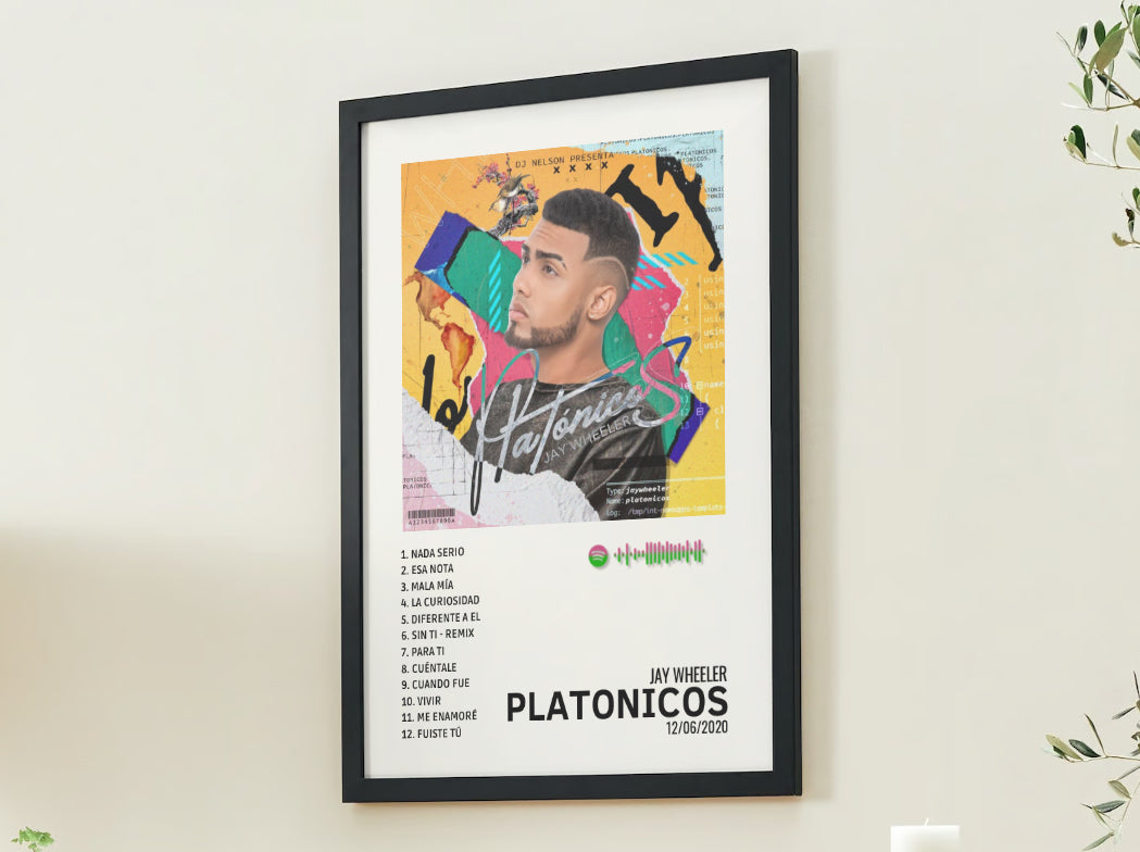 PLATONICOS