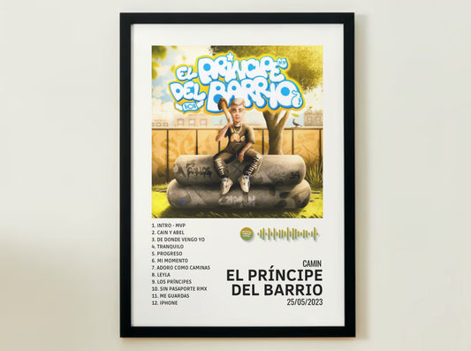 El Principe Del Barrio